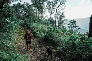 BIB: 
                            <button type="button" onclick="openModal(25656415)" class="btn btn-primary btn-sm float-right btn-popup" data-toggle="modal" data-target=".modal-high-quality">
                        <i class="fas fa-shopping-cart"></i> Add to Cart
                    </button>
                                            <button type="button" onclick="isThisMe(25656415, true)" class="btn btn-success btn-sm float-right btn-popup btn-isme hidden" data-toggle="tooltip" data-placement="bottom" title="นี่คือรูปของคุณใช่ไหม คลิกที่นี่เพื่อเอาเข้าอัลบั้ม">
                        <i class="fas fa-plus"></i> Add to album
                    </button>
                    <button type="button" onclick="isThisMe(25656415, false)" class="btn btn-warning btn-sm float-right btn-popup btn-isnotme hidden">
                        <i class="fas fa-ban"></i> Remove from album
                    </button>